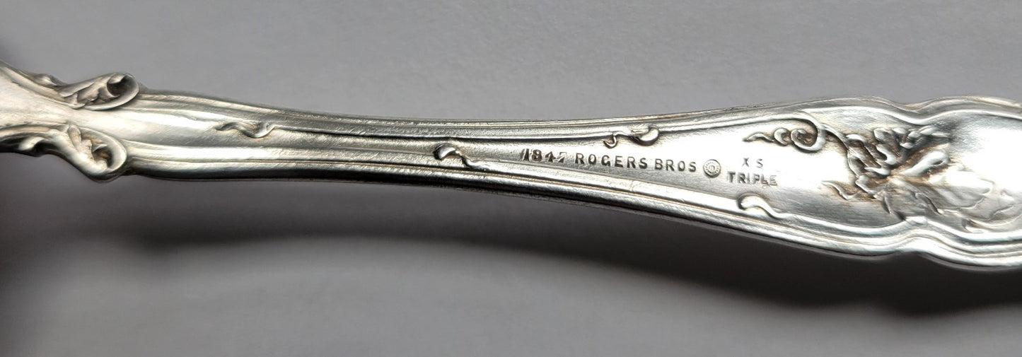 International Silver Vintage 1904 Orange Fruit Spoon 5 3/4" Silverplate2