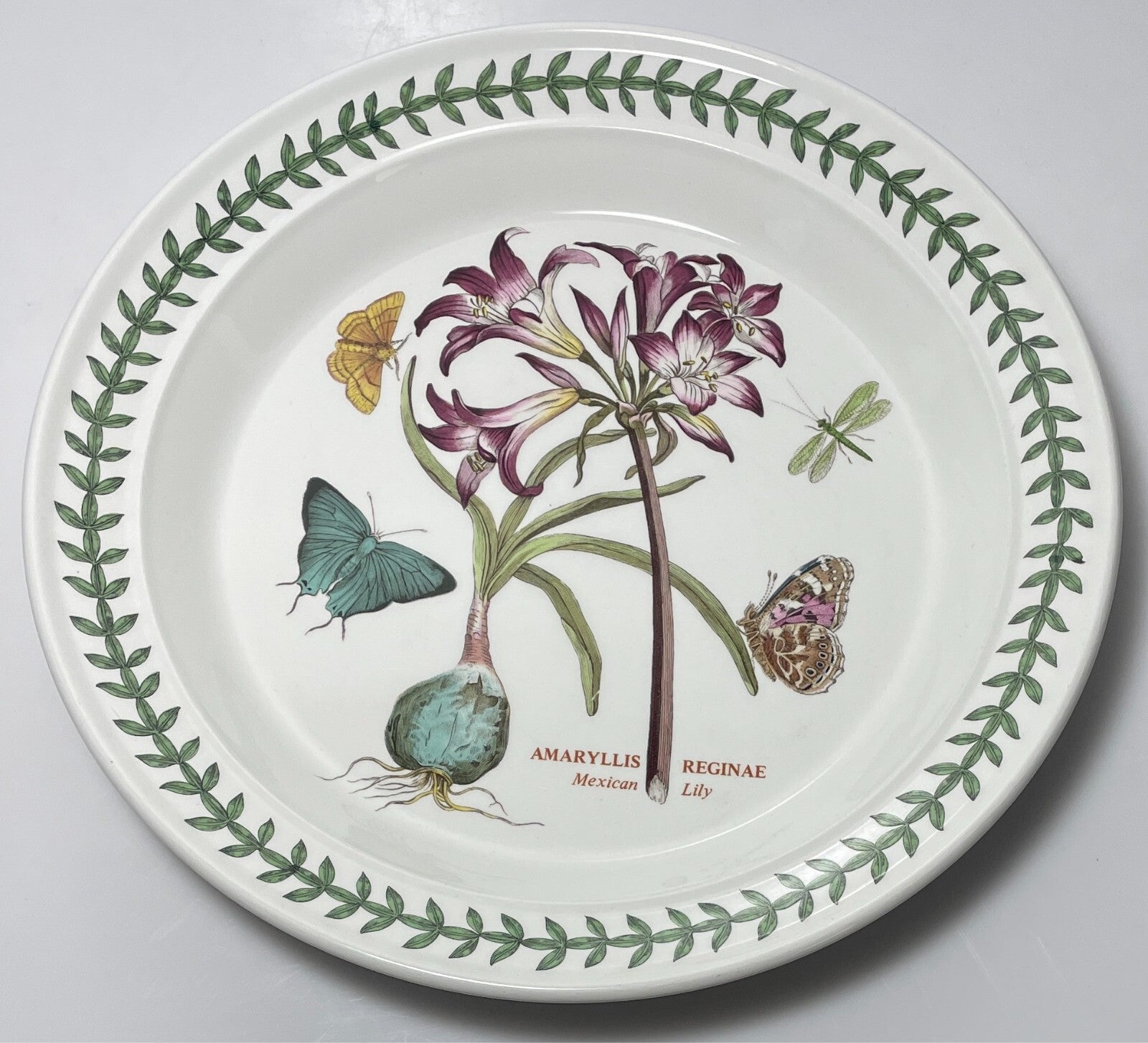 Portmeirion Botanic Garden Dinner Plate 10 1/2" Mexican Lily1