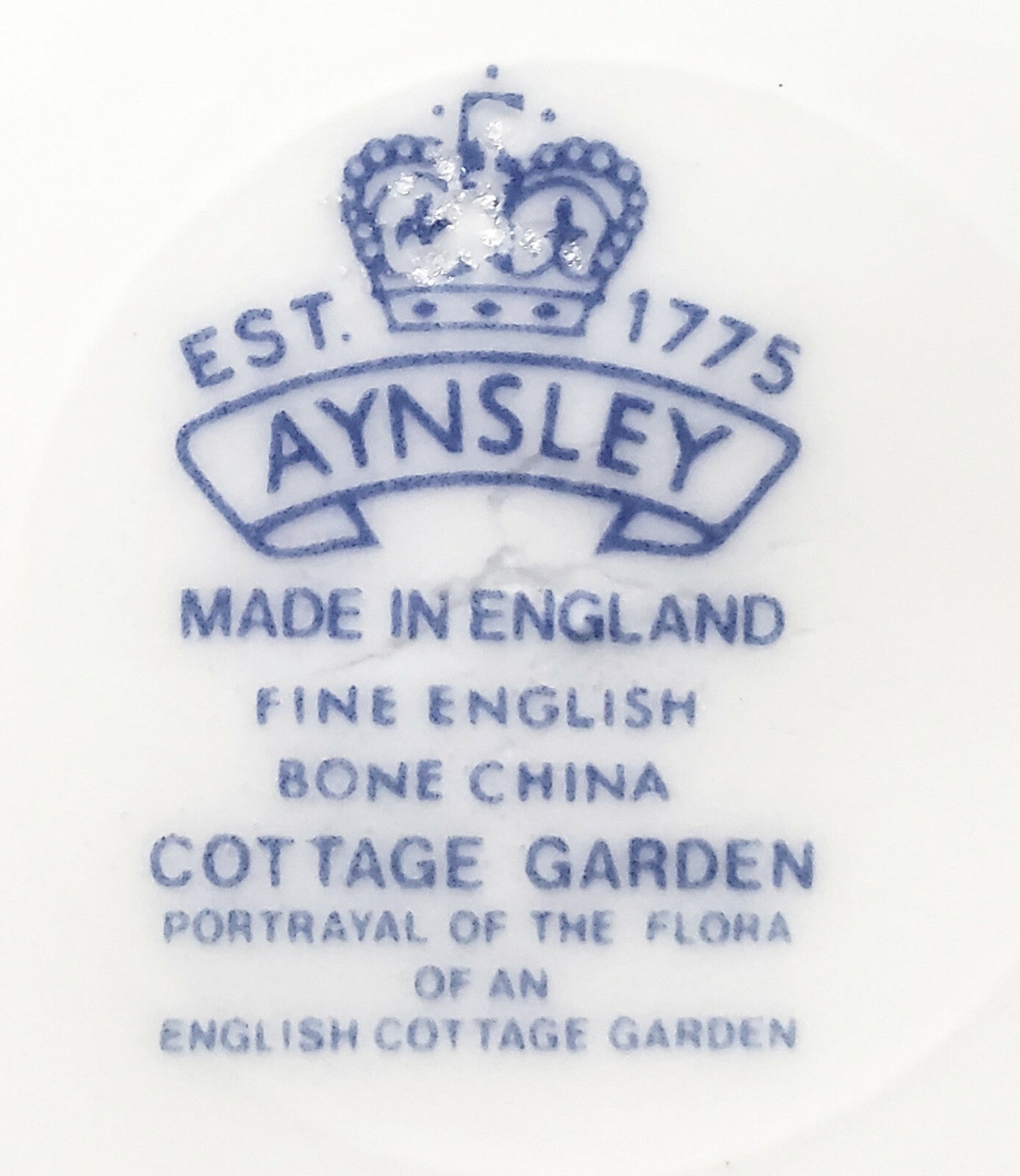 Aynsley Cottage Garden Factory Seconds Cup and Saucer3