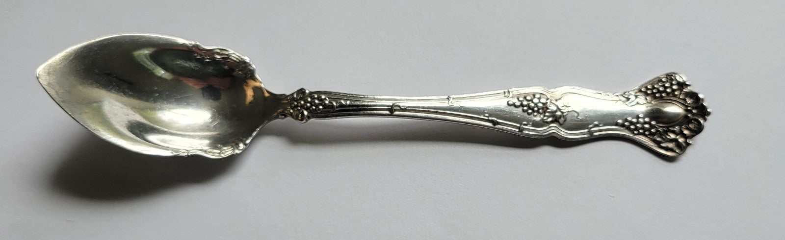 International Silver Vintage 1904 Orange Fruit Spoon 5 3/4" Silverplate0