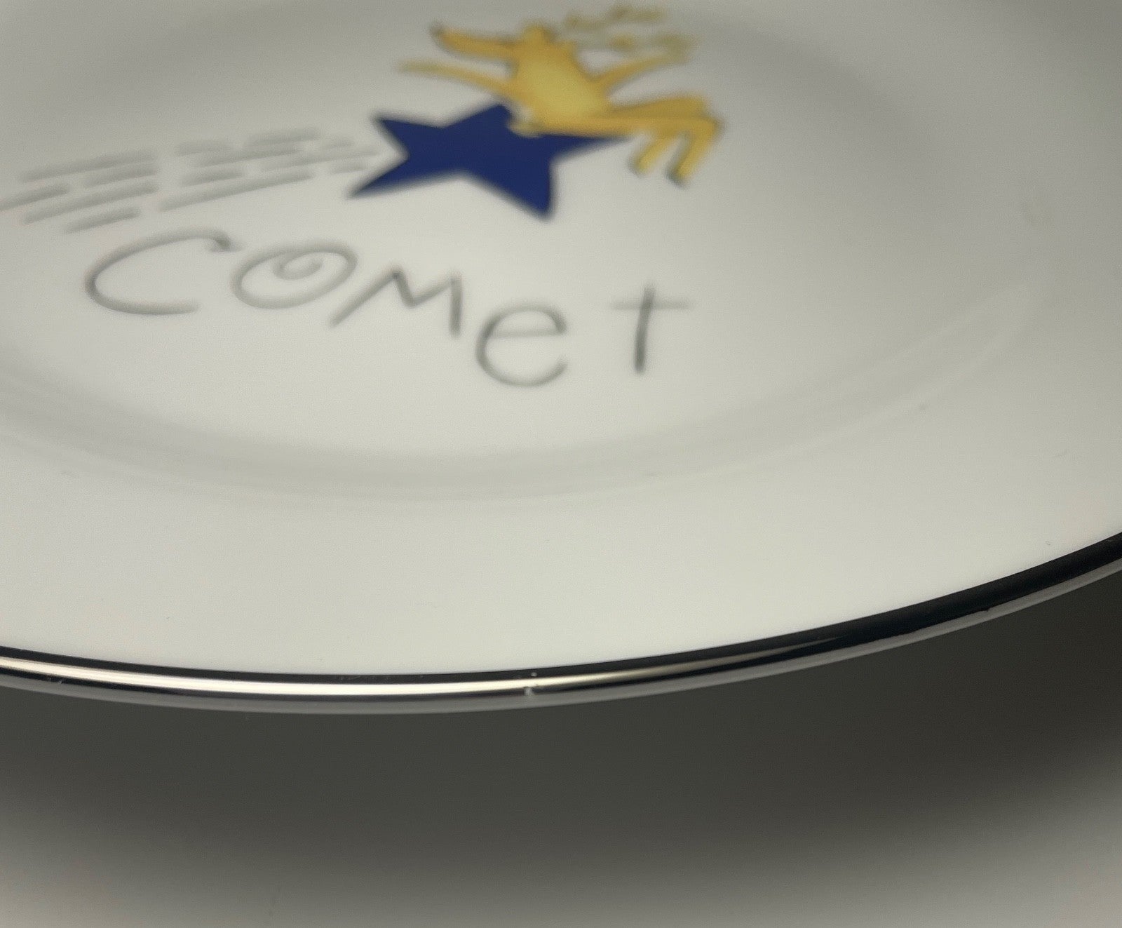 Pottery Barn Reindeer Comet Salad Plate 8 1/2"1