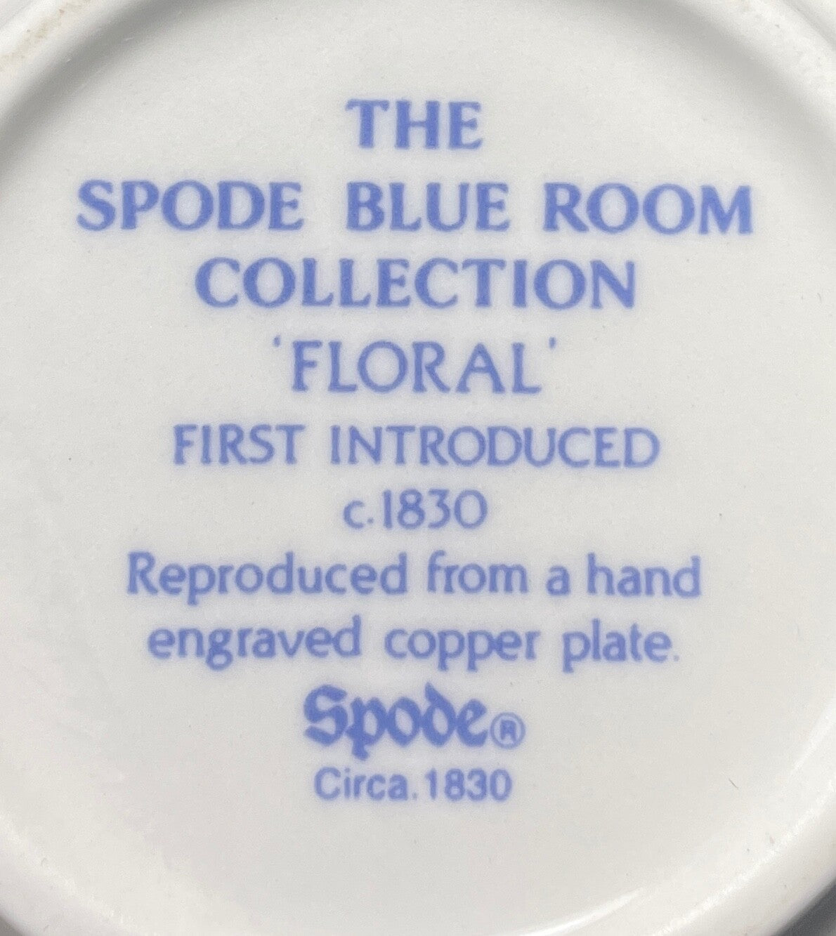 Spode Georgian Collection Floral Cup Only 2 3/4"1