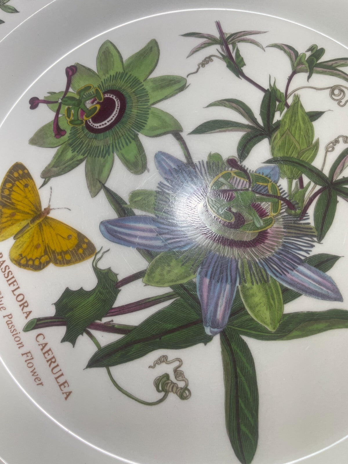 Portmeirion Botanic Garden Dinner Plate Blue Passion Flower Passiflora 10 1/2"1