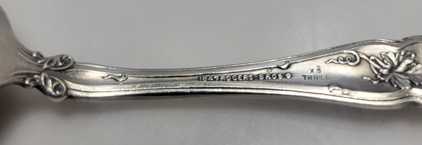 International Silver Rogers Vintage Grape Teaspoon 6" Silverplate .3