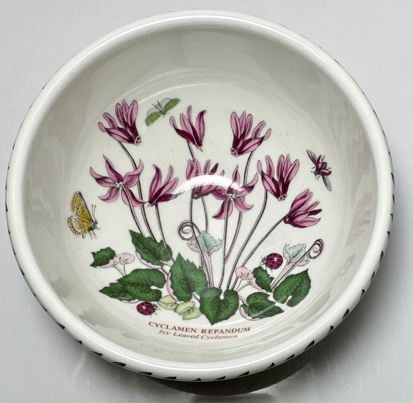 Portmeirion Botanic Garden Salad Dessert Fruit Bowl 5 3/8" Cyclamen0