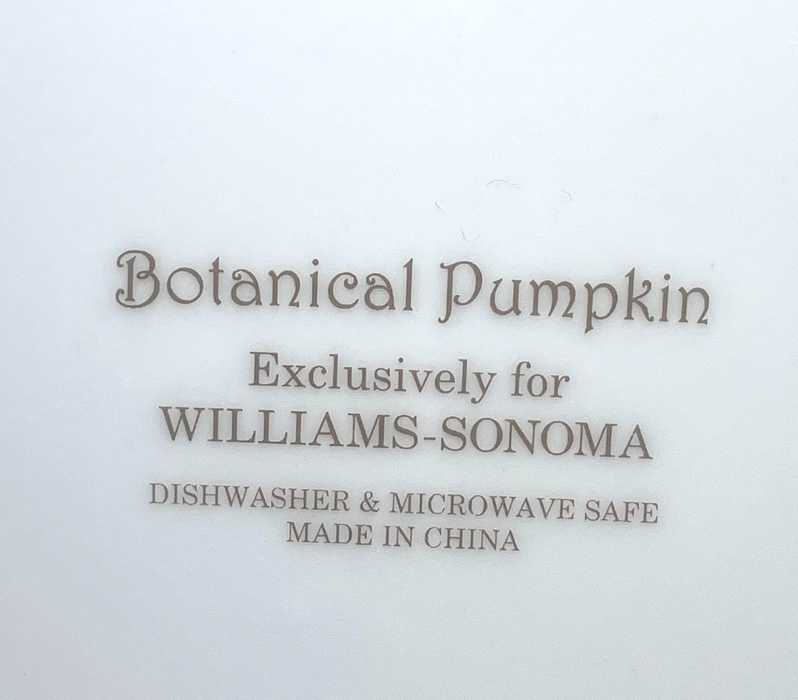 Williams Sonoma Botanical Pumpkin Salad Plate 8 1/2"1