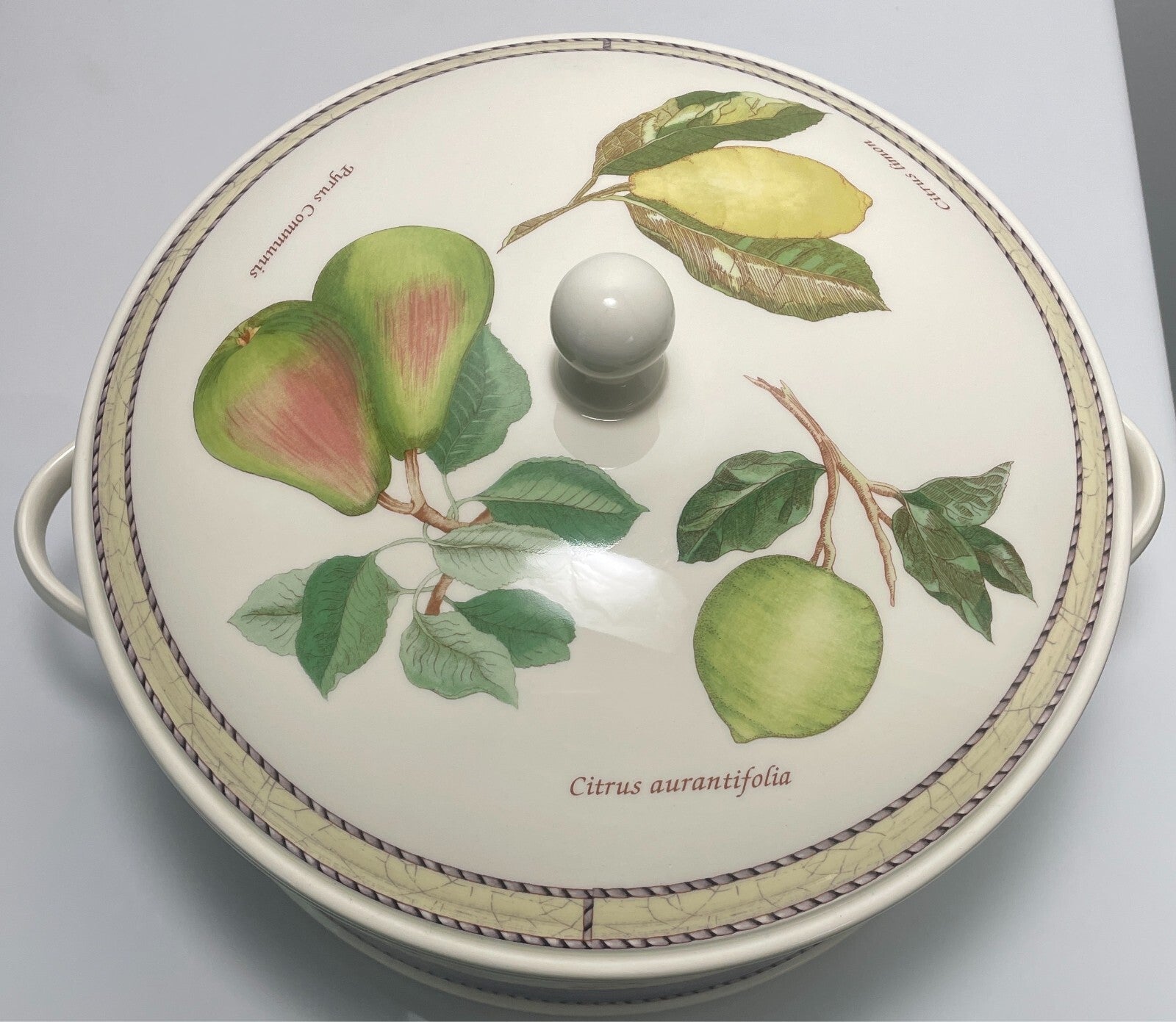 Wedgwood Sarah's Garden Round Stacking Covered Vegetable Bowl 9 1/2"2