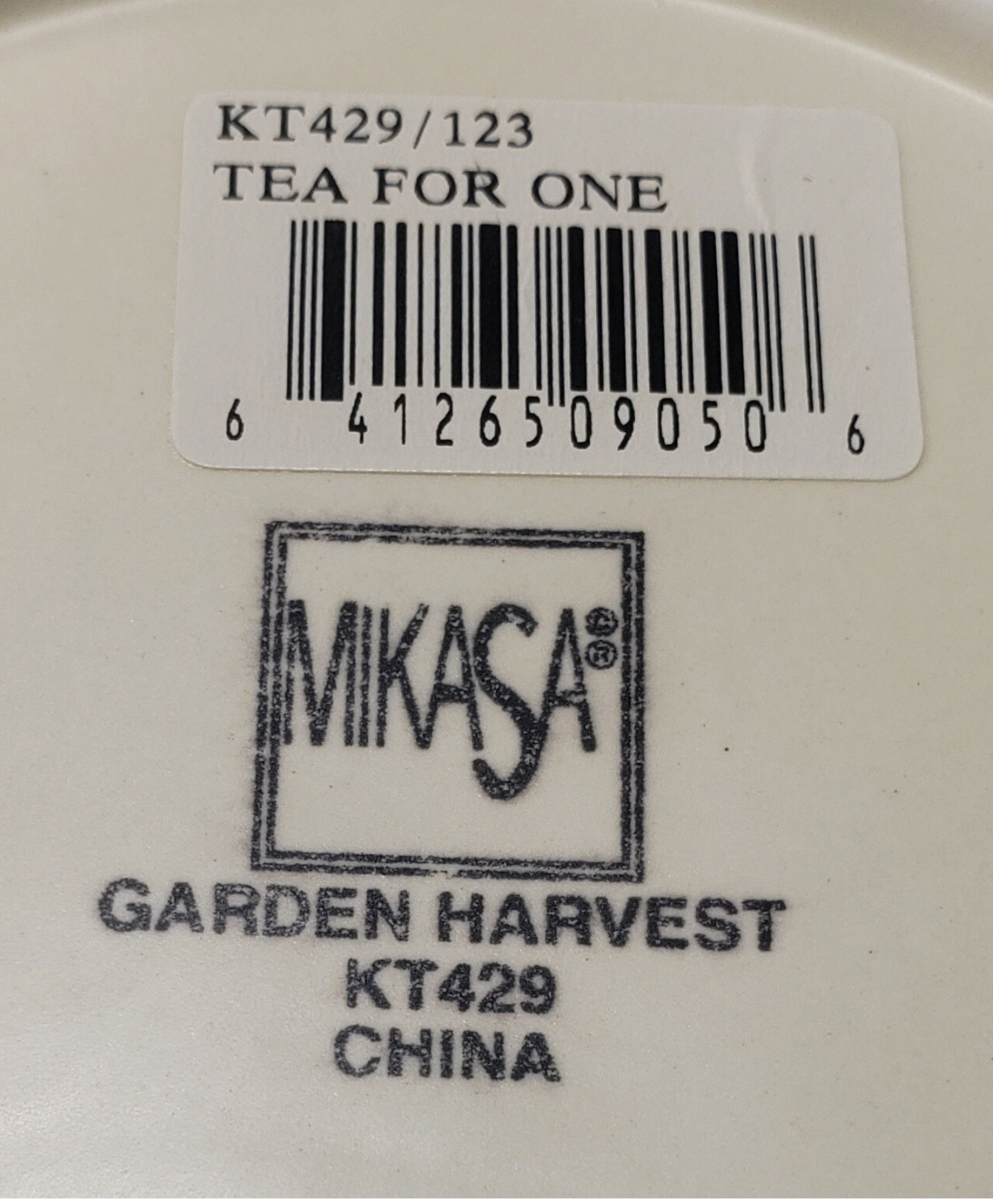 Mikasa Garden Harvest Individual Teapot with Cup 5 5/8"2