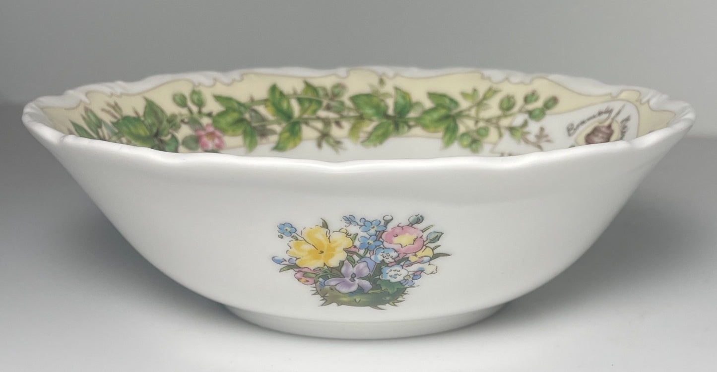 Royal Doulton Brambly Hedge Spring Coupe Cereal Bowl 6 1/4" Factory Second1