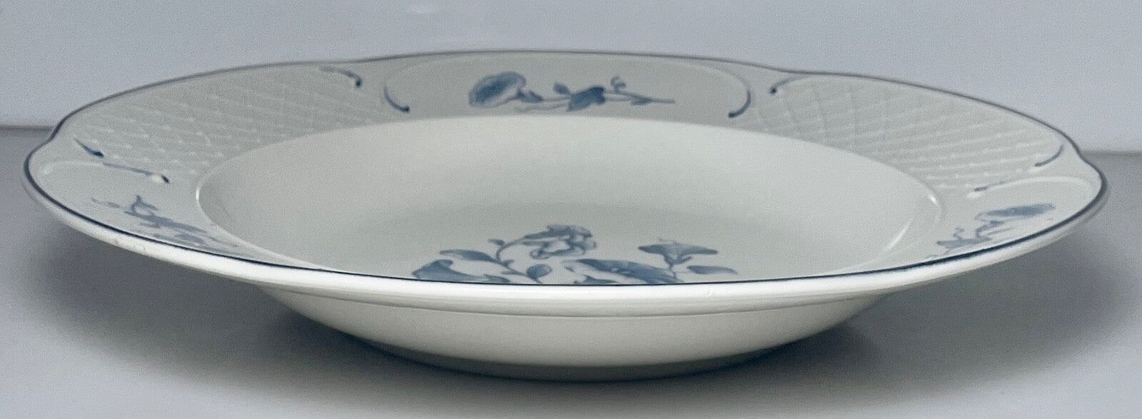 Villeroy & Boch Val Bleu Large Rim Soup Bowl 9"1