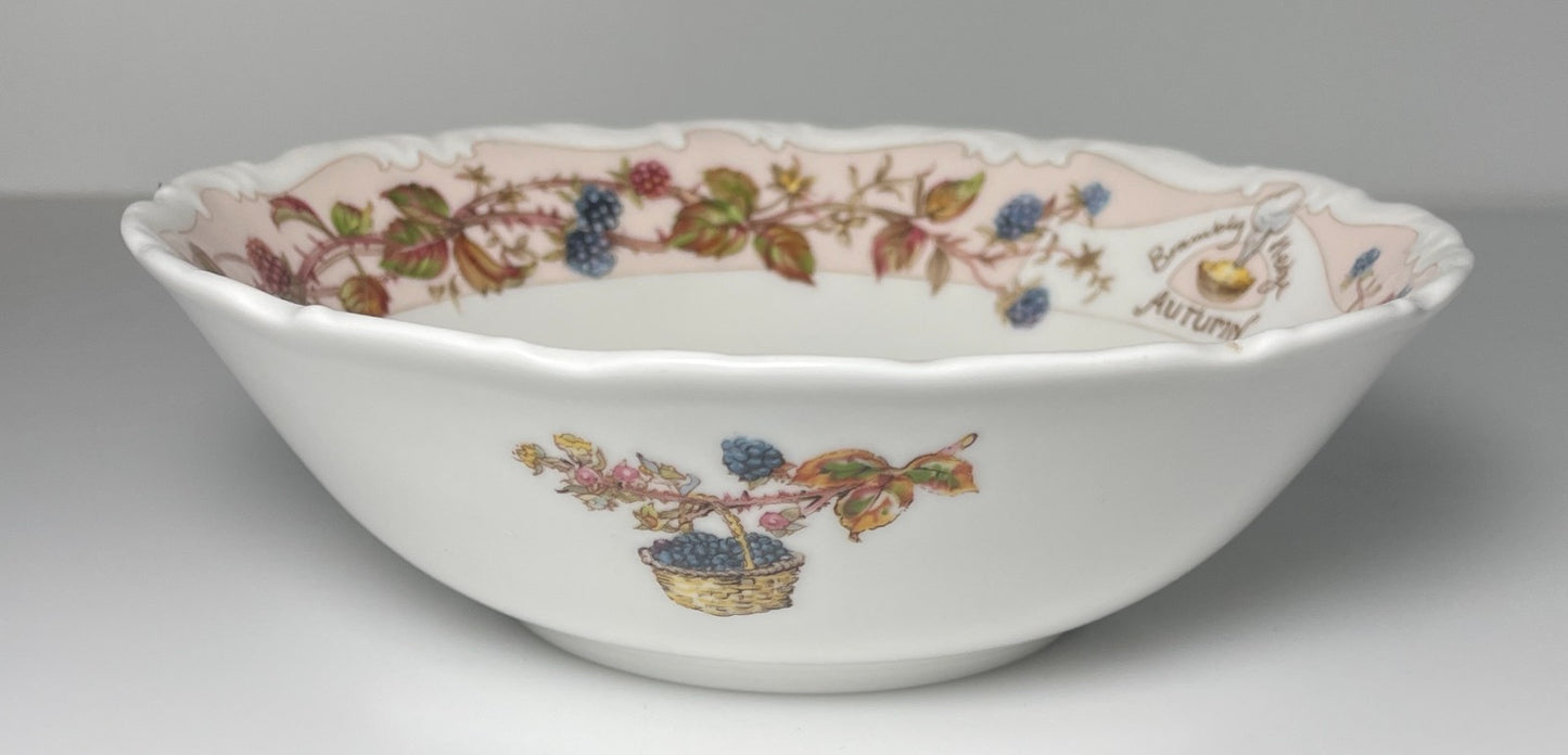 Royal Doulton Brambly Hedge Autumn Coupe Cereal Bowl 6 1/4" Factory Second1