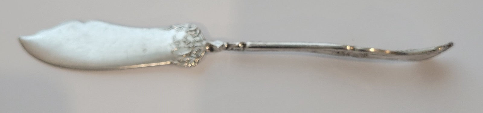 International Silver Vintage 1904 Butter Knife 7 " Silverplate Exceptional0