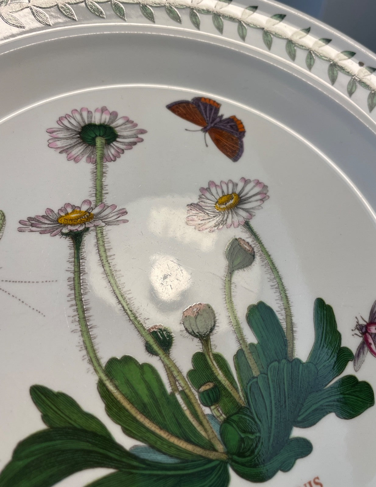 Portmeirion Botanic Garden Bread Butter Plate 7 1/4" Daisy1