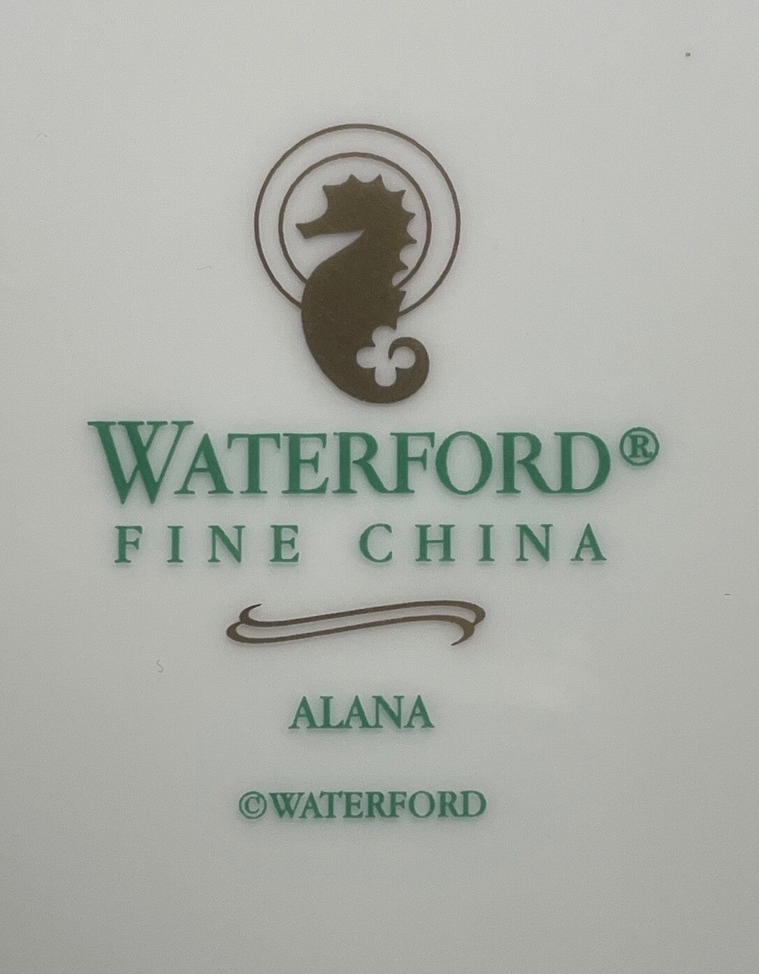 Waterford Alana Cup and Saucer Set1