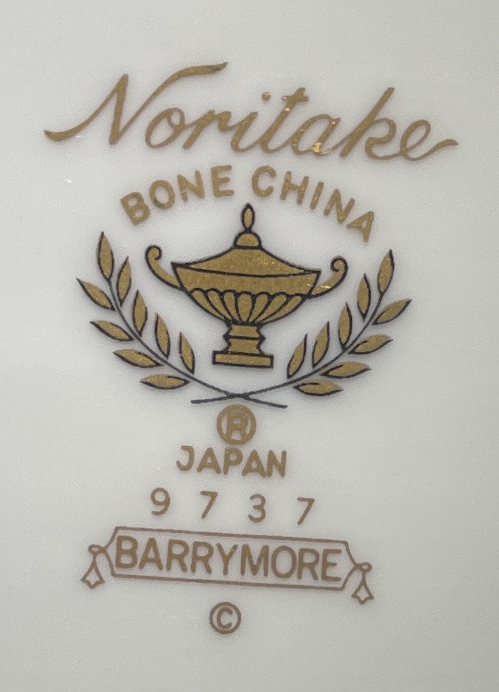 Noritake Barrymore Oval Platter 14 3/8"1
