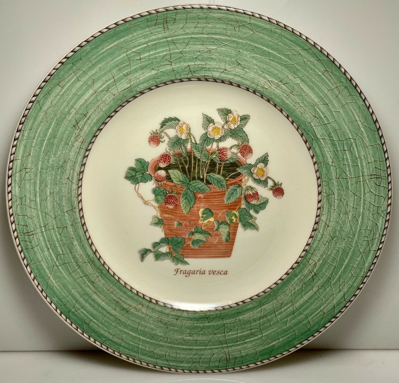 Wedgwood Sarah's Garden Salad Plate 8 1/4" Green0