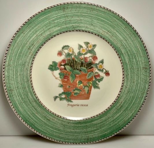 Wedgwood Sarah's Garden Salad Plate 8 1/4" Green0
