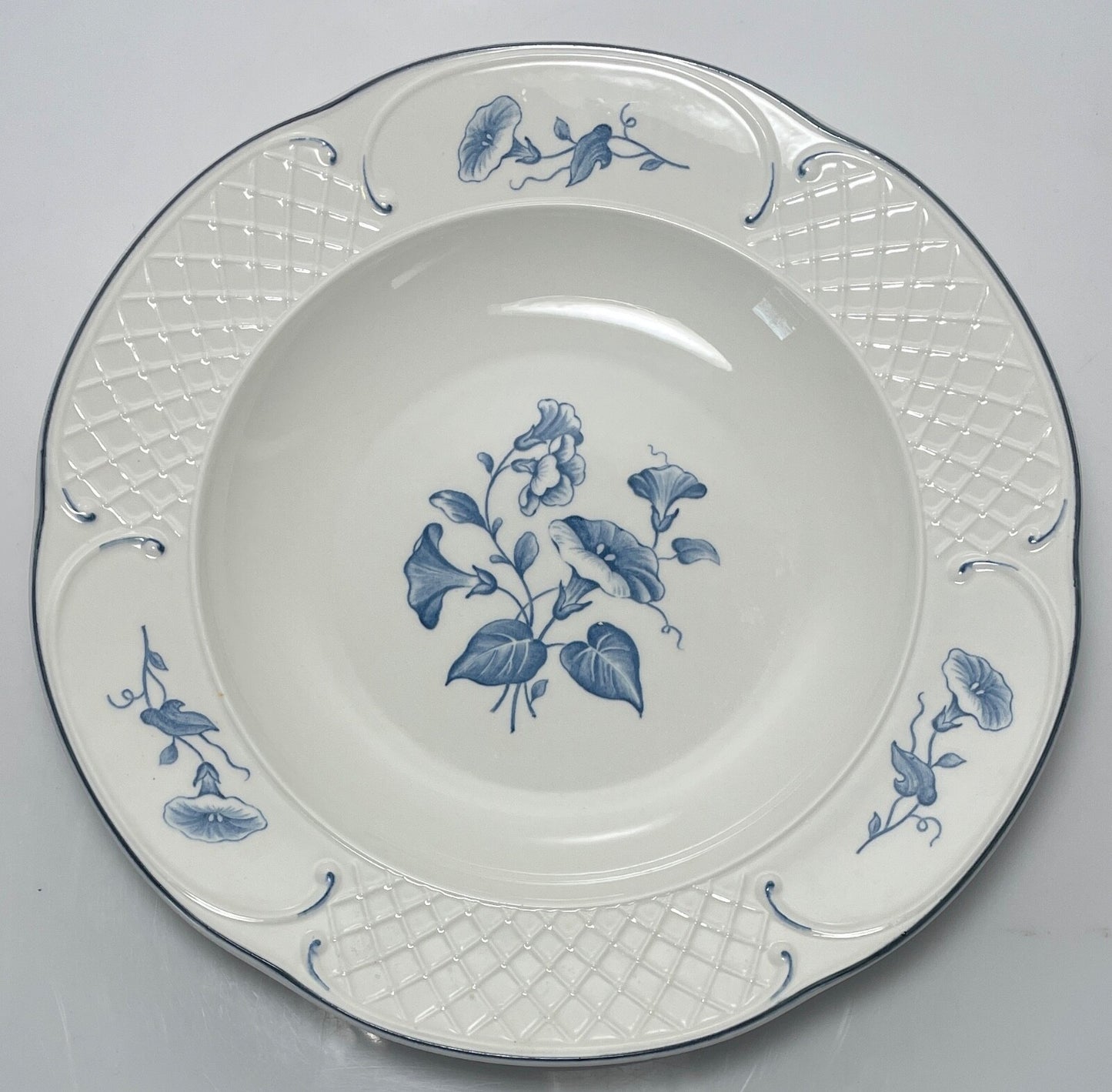 Villeroy & Boch Val Bleu Large Rim Soup Bowl 9"0